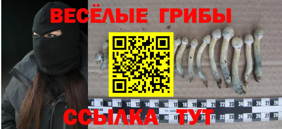 Галлюциногенные грибы мицелий  Псилоцибиновые грибы MAGIC MUSHROOMS  Вход с VPN  Канск 